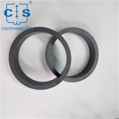 Si3N4 Sealant Ring